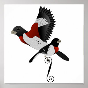 Rose Breasted Grosbeak Cardinal Bird Poster