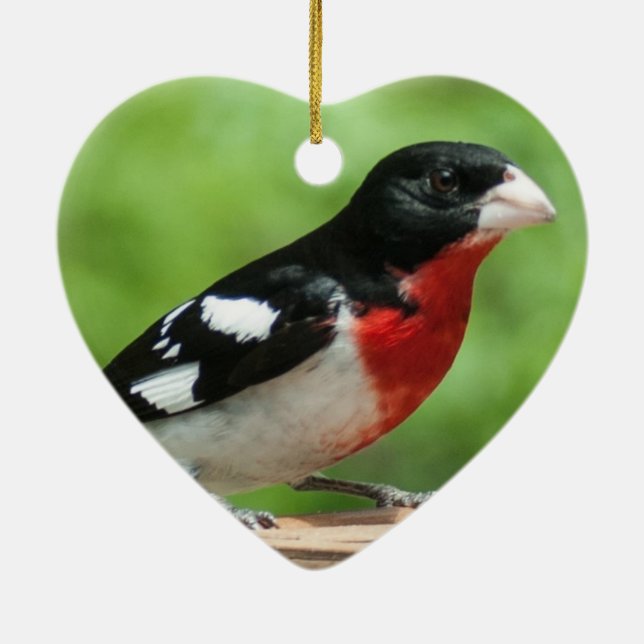 Rose-breasted Grosbeak Ceramic Tree Decoration (Back)