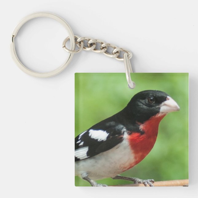 Rose-breasted Grosbeak Key Ring (Front)