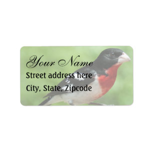 Rose-breasted Grosbeak Label