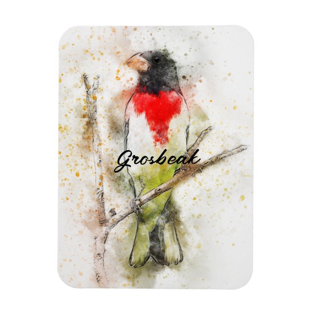 Rose-Breasted Grosbeak (Pheucticus ludovicianus) Magnet (Vertical)