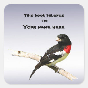 Rose-breasted Grosbeak Square Sticker