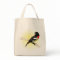 Rose-breasted Grosbeak