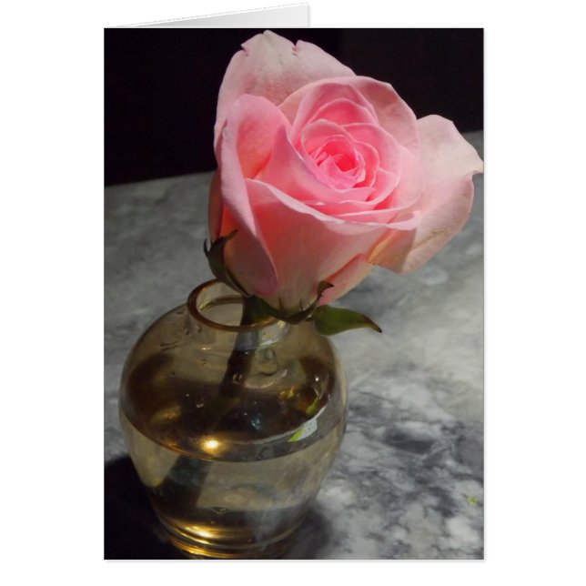 Rose Bud (Front)