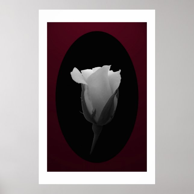 Rose Bud (Black & White) Poster (Front)