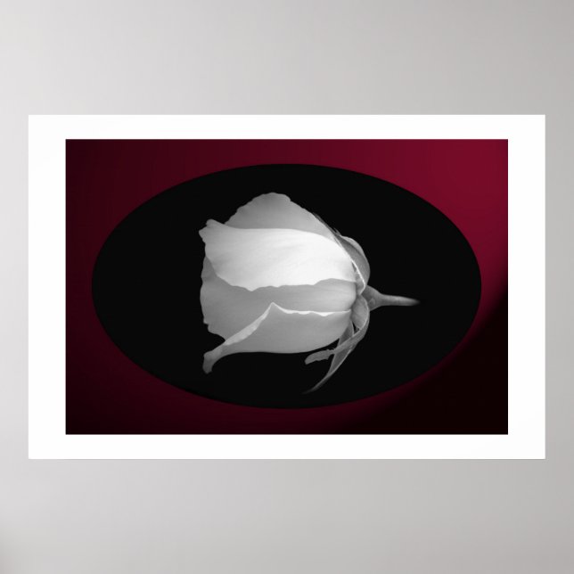 Rose Bud (Black & White) Poster (Front)