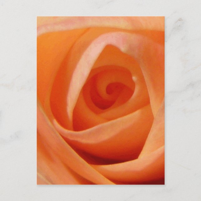 Rose Bud Postcard (Front)