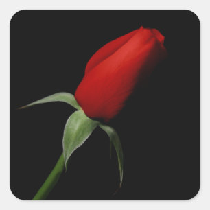 Rose Bud Stickers - Wedding Envelope Seals