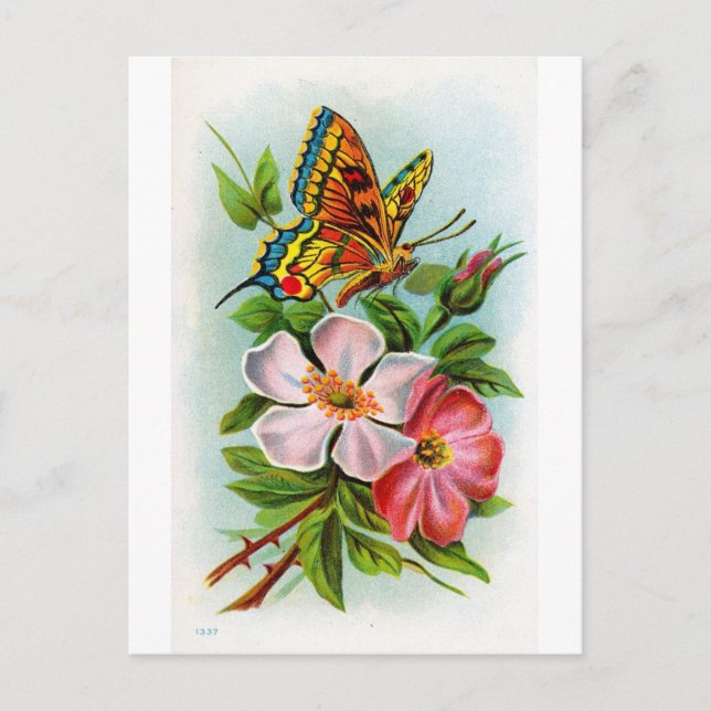 Rose & Butterfly Postcard (Front)