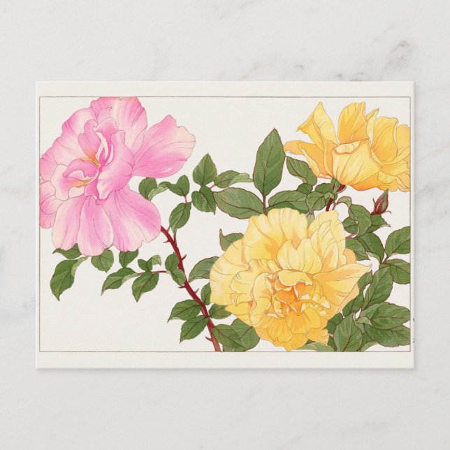 Rose by Tanigami Konan Postcard (Front)
