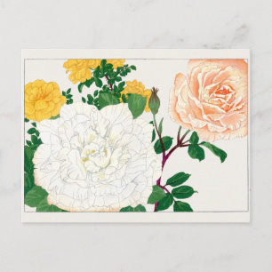 Rose by Tanigami Konan Postcard