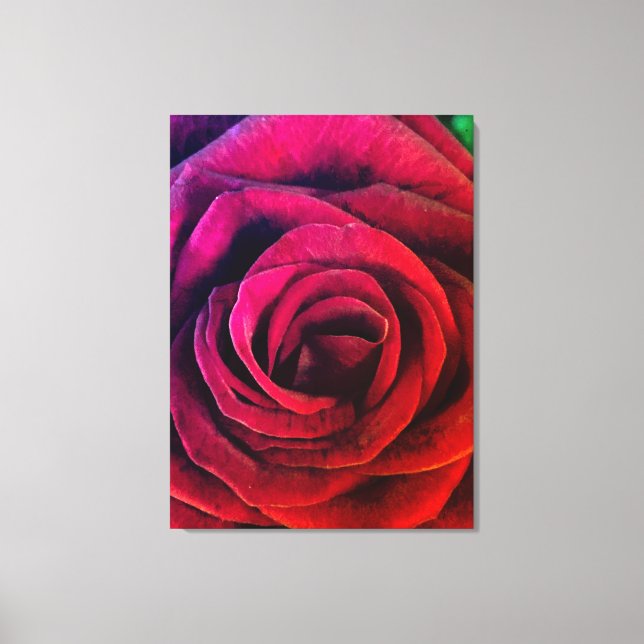 Rose Canvas Print (Front)