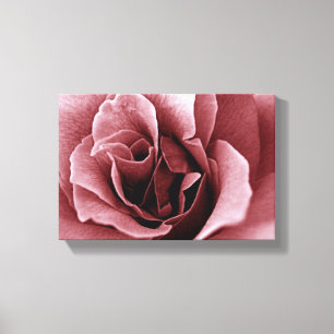 rose canvas print
