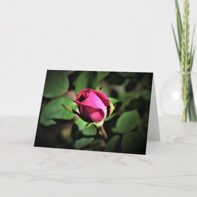 Rose, card (Front)
