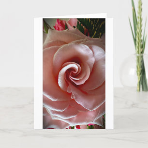 Rose, card
