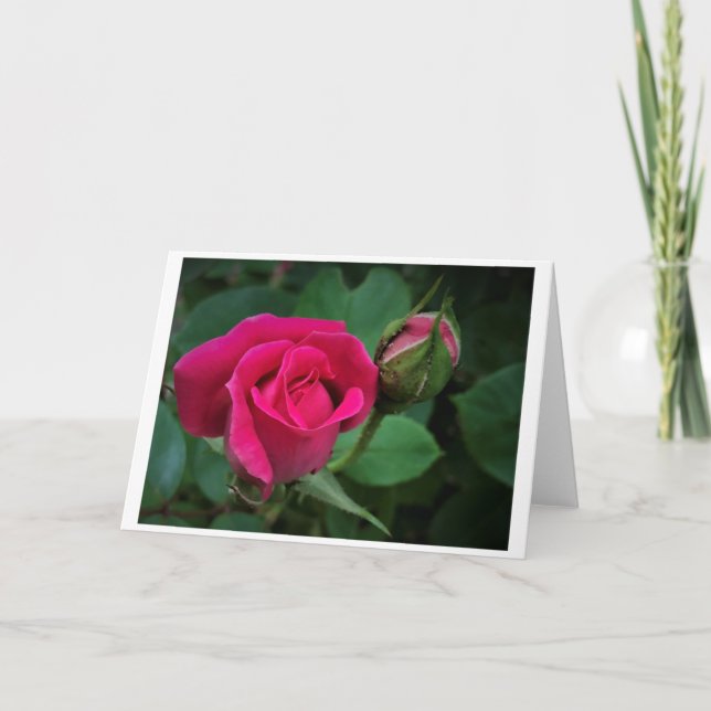 Rose, card (Front)