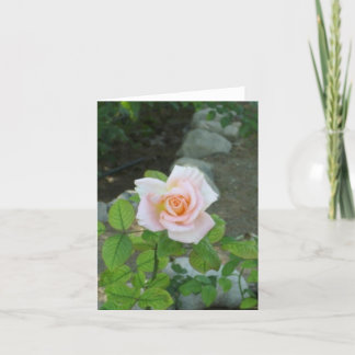Rose Card