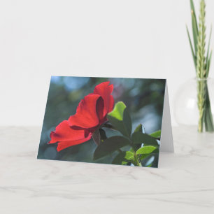 Rose Card