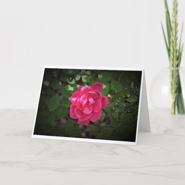 Rose, card (Front)