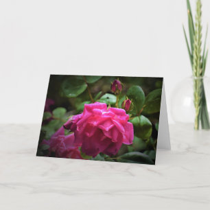 Rose, card