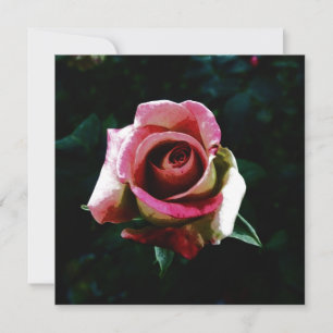 rose  card