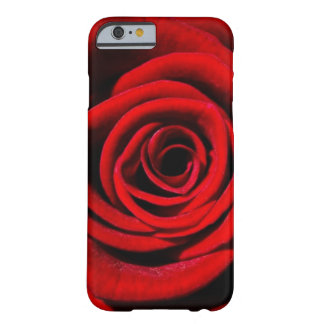Rose Barely There iPhone 6 Case