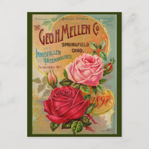 Rose Catalogue Postcard