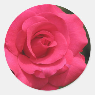 Rose Classic Round Sticker