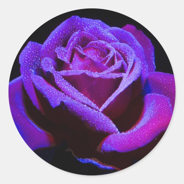 Rose Classic Round Sticker (Front)