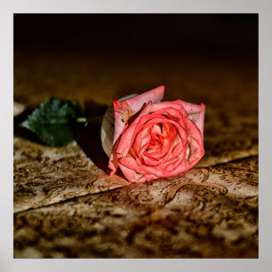 Rose Close-Up poster