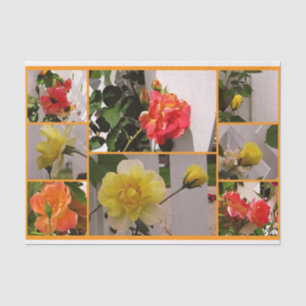 Rose Collage Josephs Coat-Tissue Wrap Paper