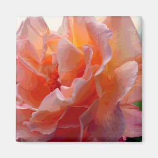 Rose Colour Expression Square Magnet