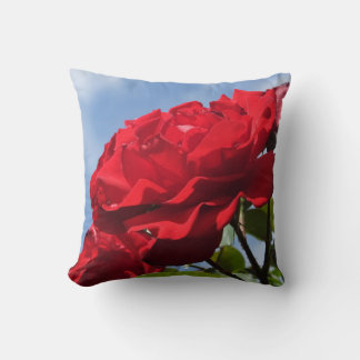 Rose Cushion