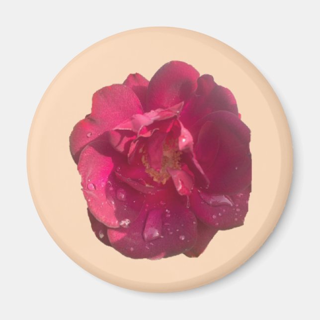 Rose D Magnet (Front)