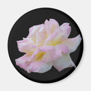 Rose digital drawing magnet
