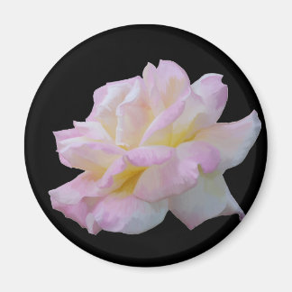 Rose digital drawing magnet
