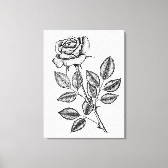 Rose drawing 2 canvas print (Front)