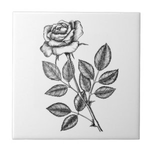 Rose drawing 2 tile