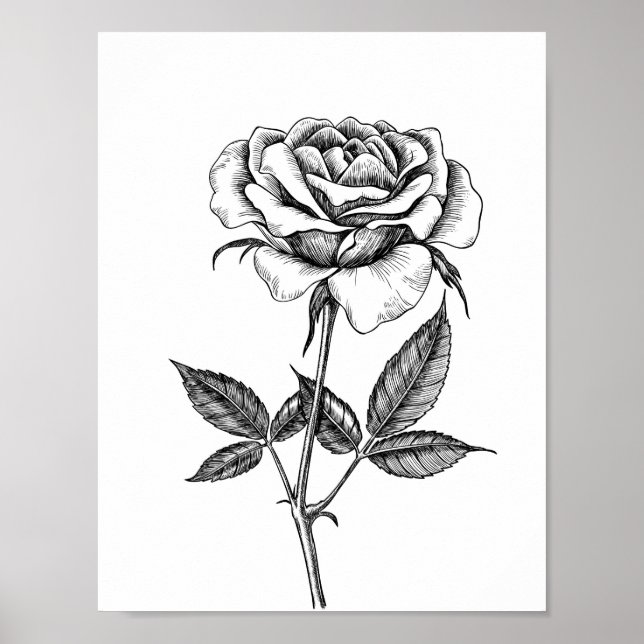 Rose drawing poster (Front)