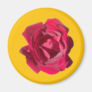 Rose F Magnet