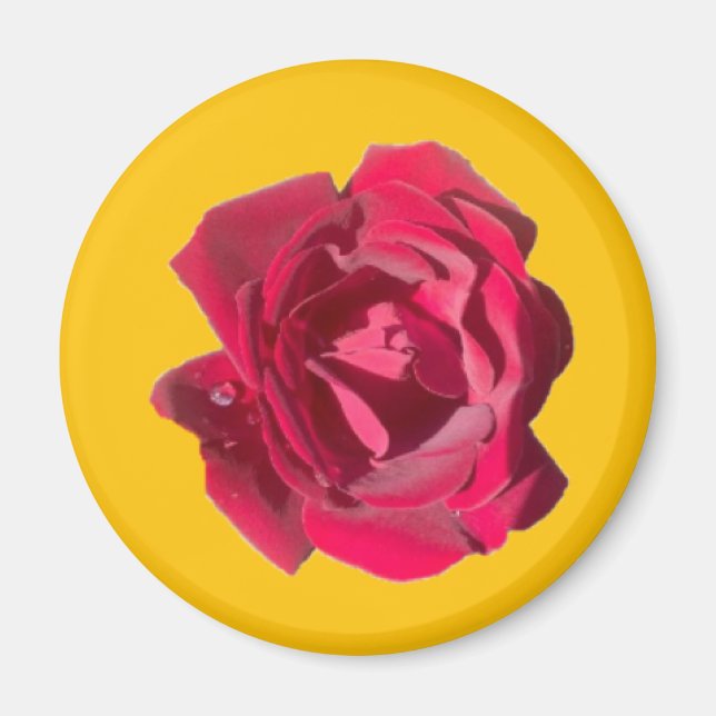 Rose F Magnet (Front)