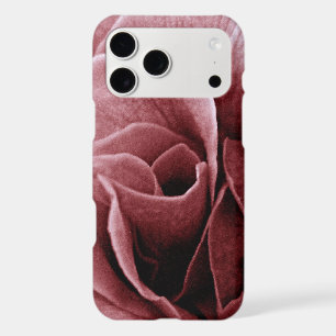 Rose Flower