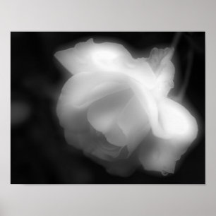 Rose Flower Black White Photo Print