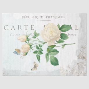 Rose Flower Butterfly Carte Postale Blue Painted Tissue Paper