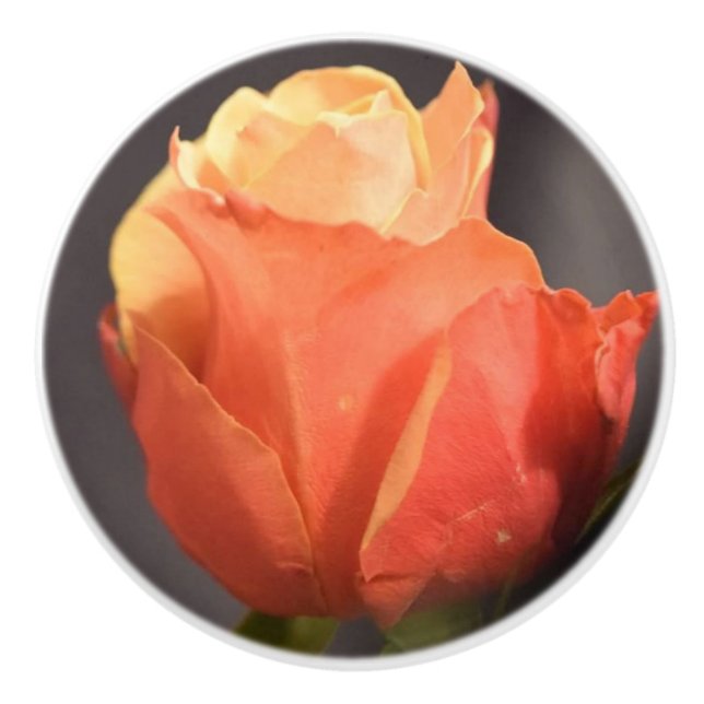 rose flower ceramic pull (Front)