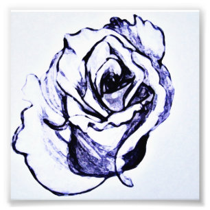 Rose Flower hand sketch Photo Print