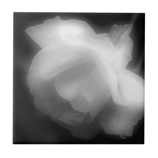Rose Flower In Black And White Tile (Front)