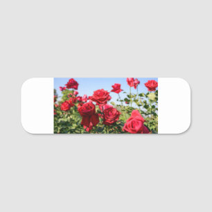 ROSE FLOWER NAME TAG