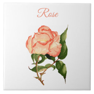 Rose flower peach and pink botanical watercolor tile
