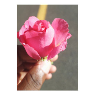 Rose Flower Photo Enlargement Print